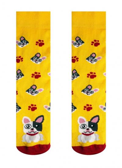 vesele-ponozky-buldog